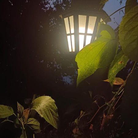 Aam'S Courtyard Ξενοδοχείο Kalimpong Εξωτερικό φωτογραφία