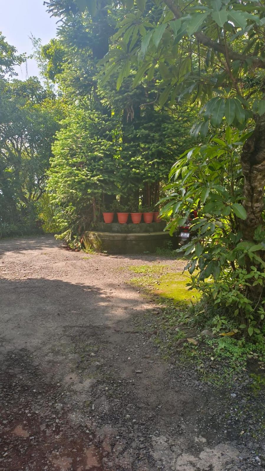 Aam'S Courtyard Ξενοδοχείο Kalimpong Εξωτερικό φωτογραφία