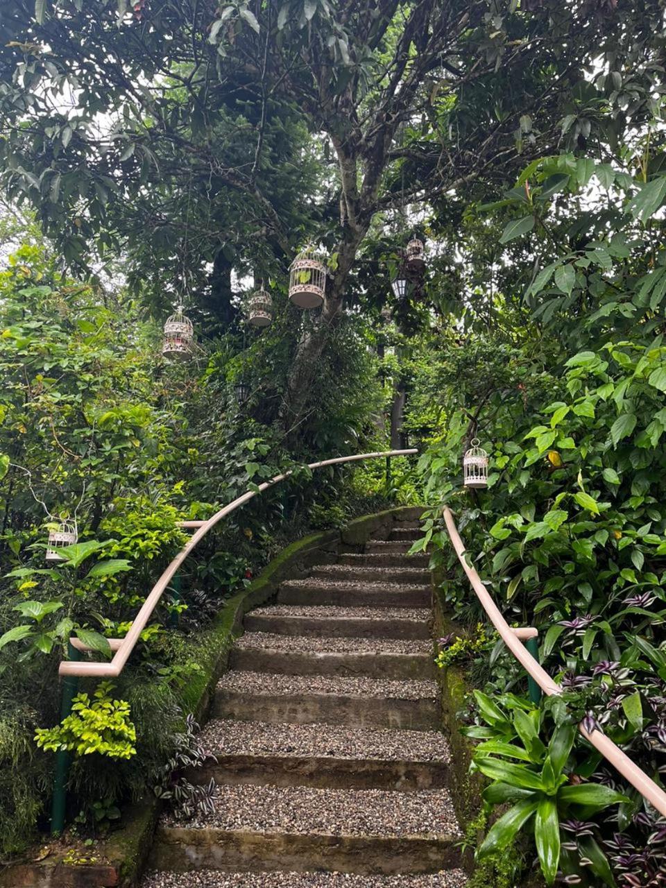 Aam'S Courtyard Ξενοδοχείο Kalimpong Εξωτερικό φωτογραφία