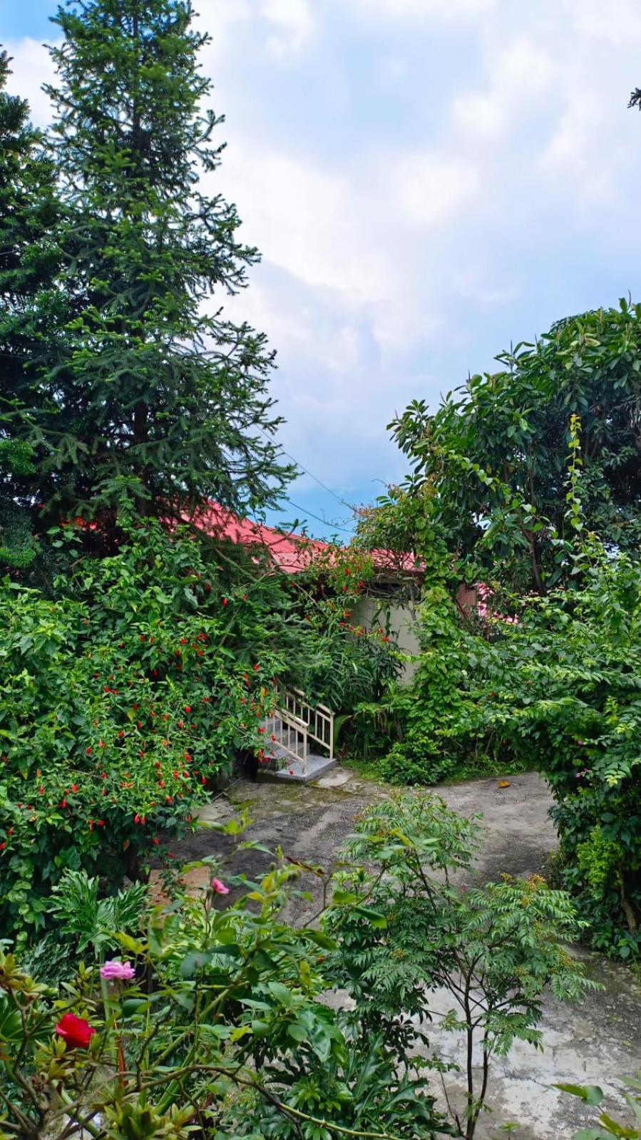 Aam'S Courtyard Ξενοδοχείο Kalimpong Εξωτερικό φωτογραφία